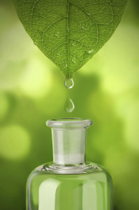 Naturopathic Doctor Soquel