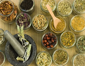 Learning the time tested ways that Naturopathy can help you and your unique health picture